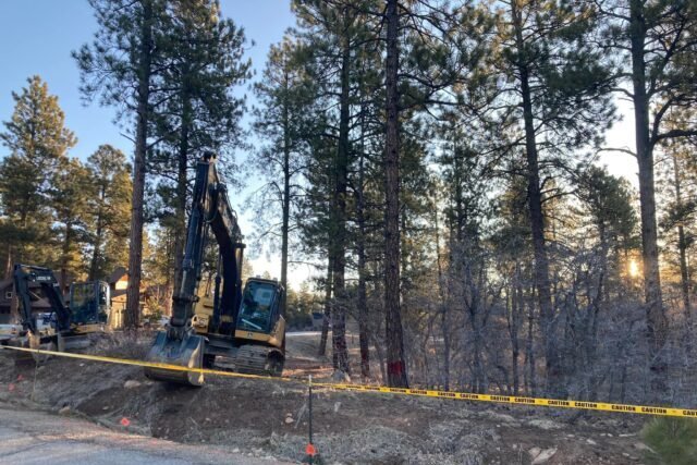 a construction vehicle in the woods