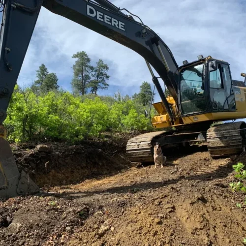 688796294 a bulldozer with a dog standing in the dirt